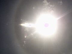 6[金剛法蓮] 將悲心慈証虹化的聖理盡快地告訴聖密行者告訴眾生[6]