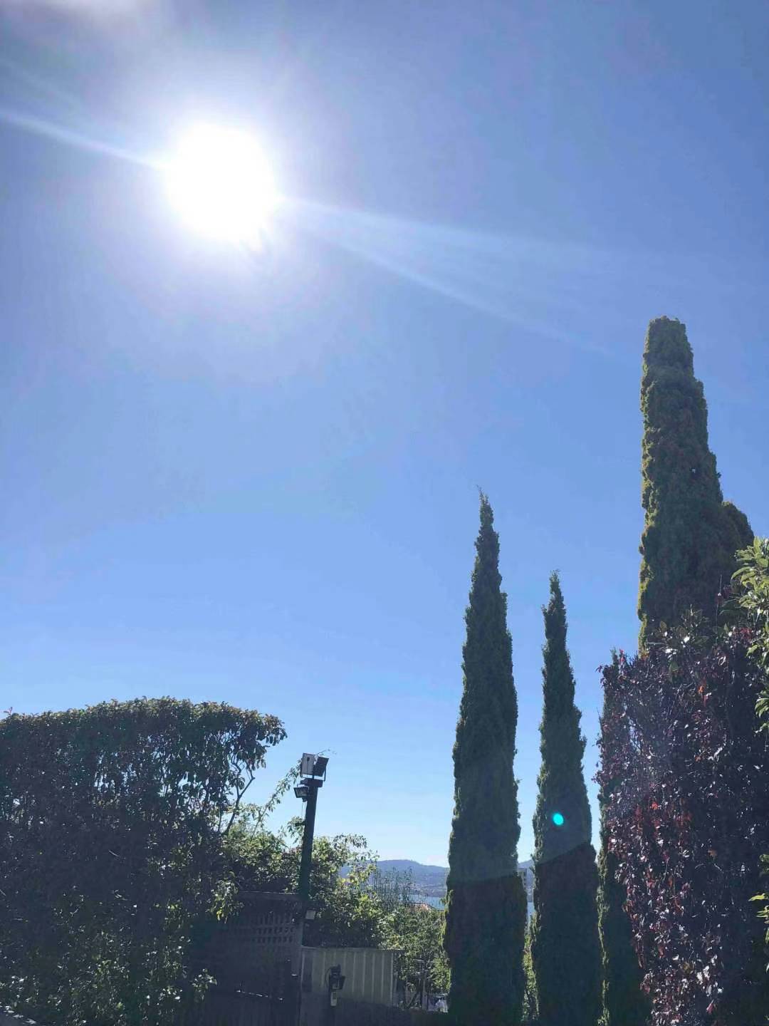 維摩詰不思議解脫法門經者。蓋是窮微盡化。絕妙之稱也。其旨淵玄