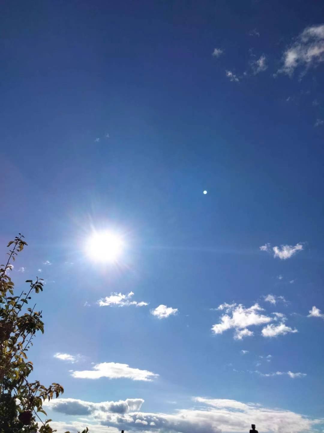 2024.5.4第203次总第1089次学术讲座聖密龙讲