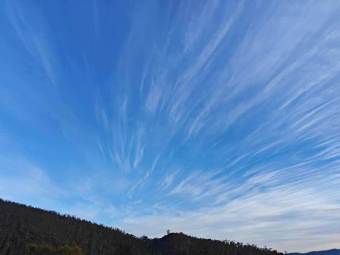 弟子无限感恩 薄伽梵 师尊 恩赐参加今晚的:为澳洲雪梨邦迪海滩恐怖袭击事件圣密超荐法会