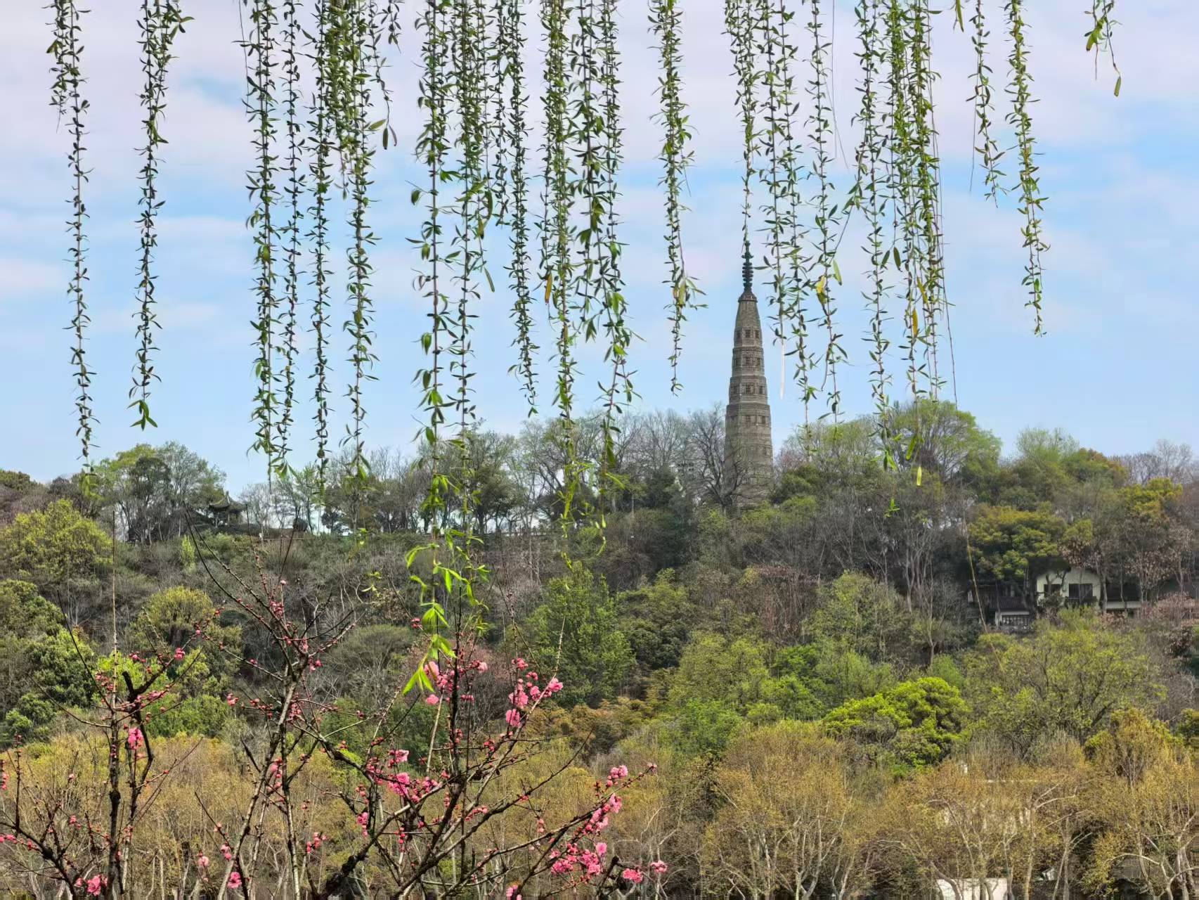 《游园,赏桃花四韵。》 (湖南平江·南江桥)欧阳可爱