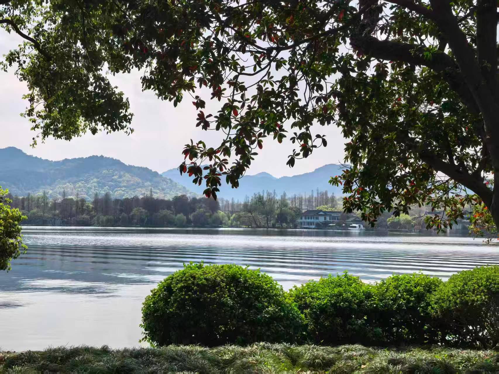 《清明咏梨花一》 欧阳可爱