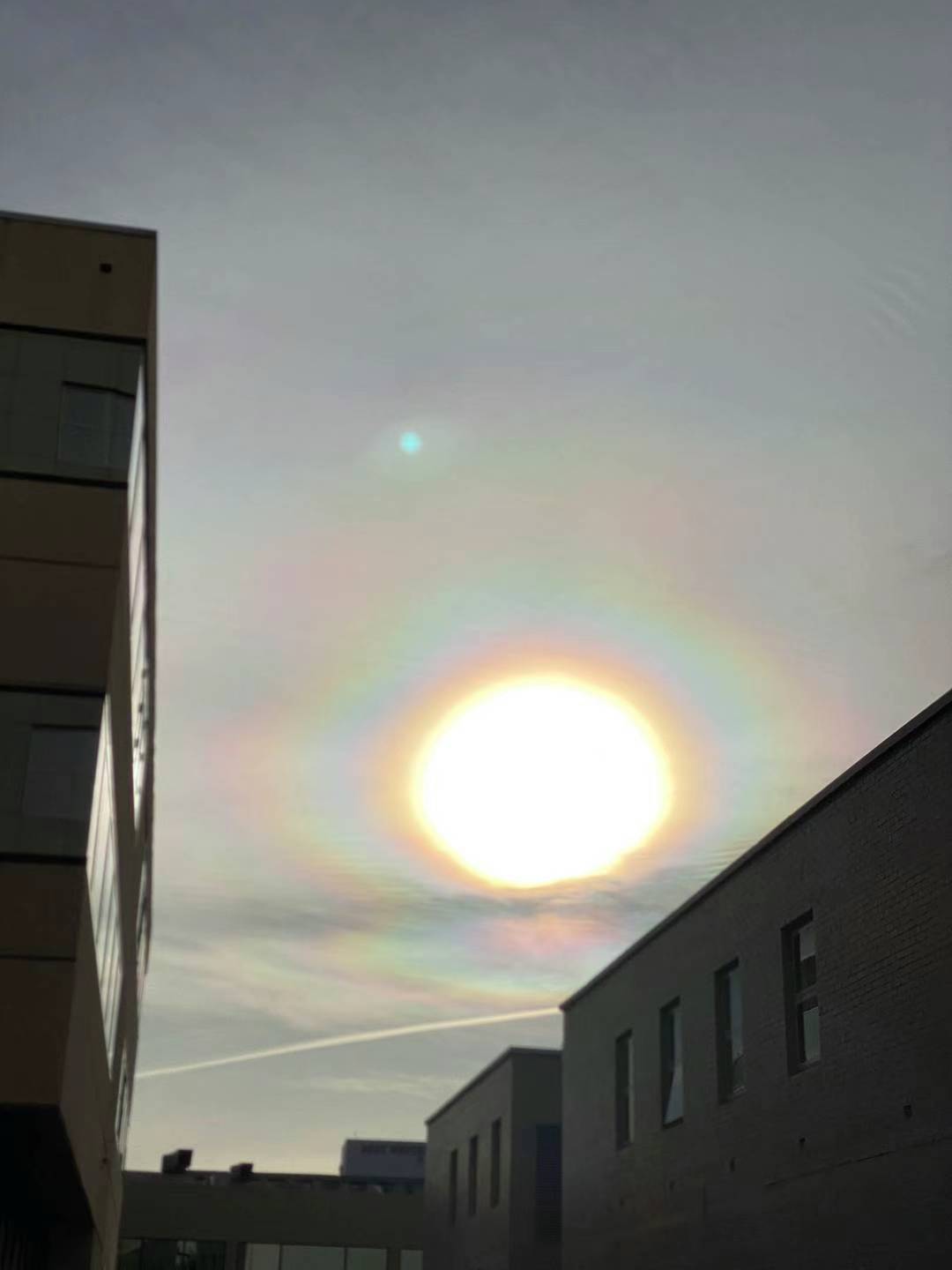 【VXX】申請報告